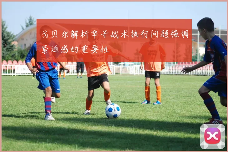 戈贝尔解析华子战术执行问题强调紧迫感的重要性