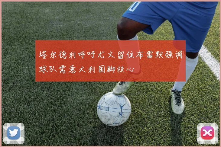 塔尔德利呼吁尤文留住布雷默强调球队需意大利国脚核心